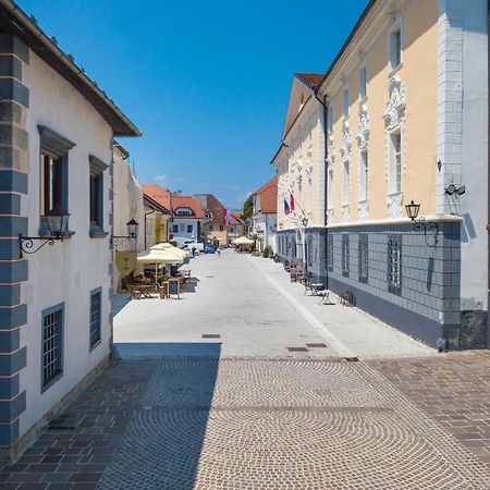Vila Radolca Apartments & Rooms Radovljica Zewnętrze zdjęcie