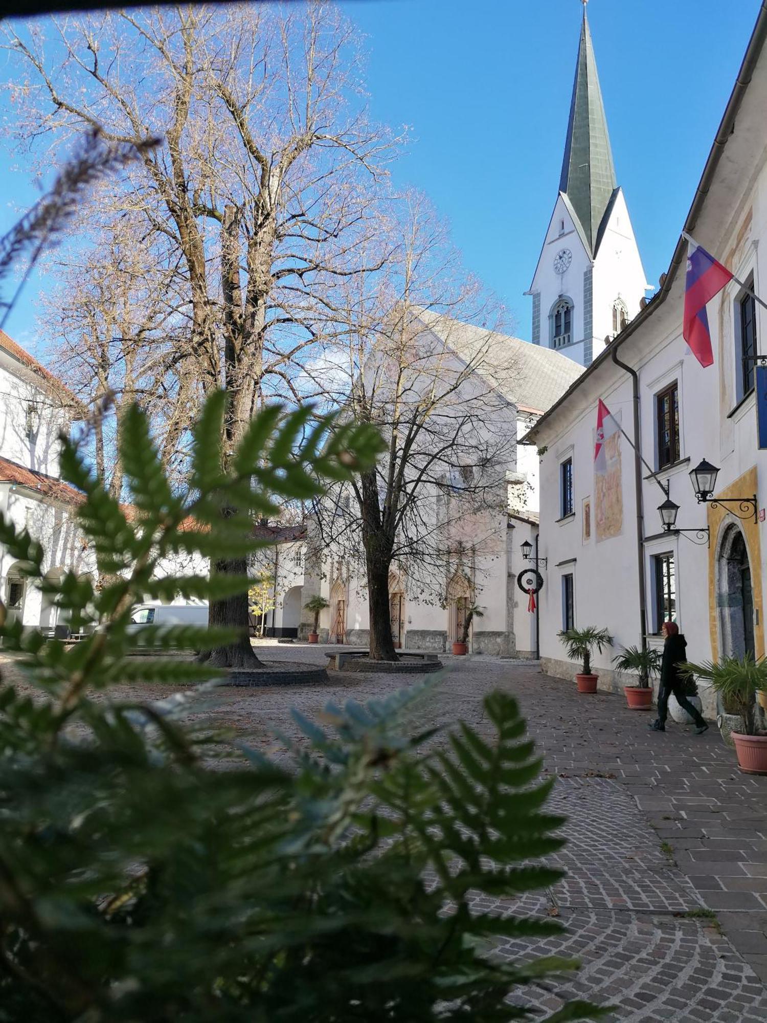 Vila Radolca Apartments & Rooms Radovljica Zewnętrze zdjęcie